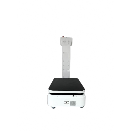 Lieferroboter Leasing