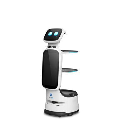 Serviceroboter