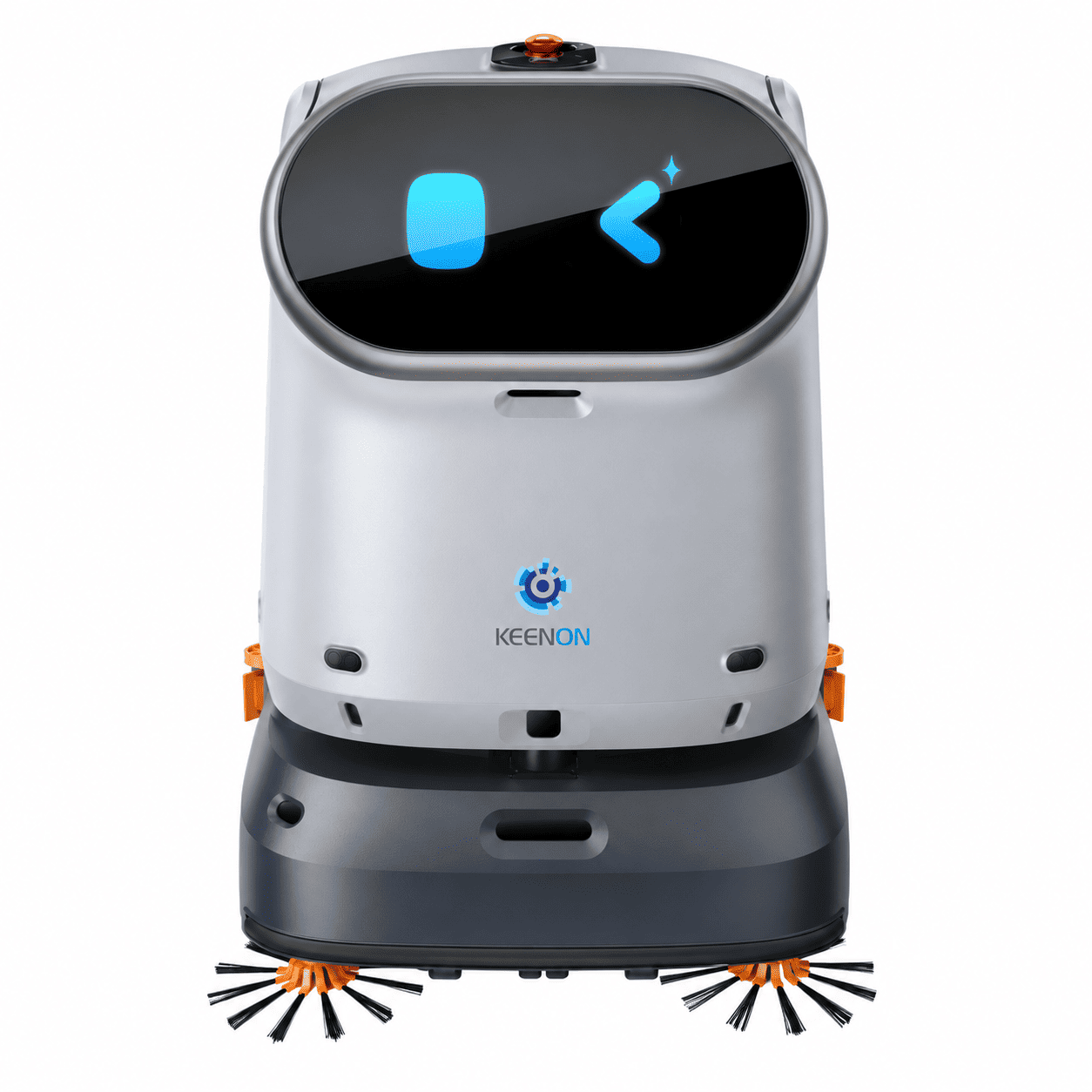 Professioneller Reinigungsroboter
