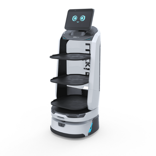 Lieferroboter